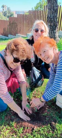 Reforestar y regenerar hábitats junto a personas con discapacidad, neurodiversidad y personas mayores